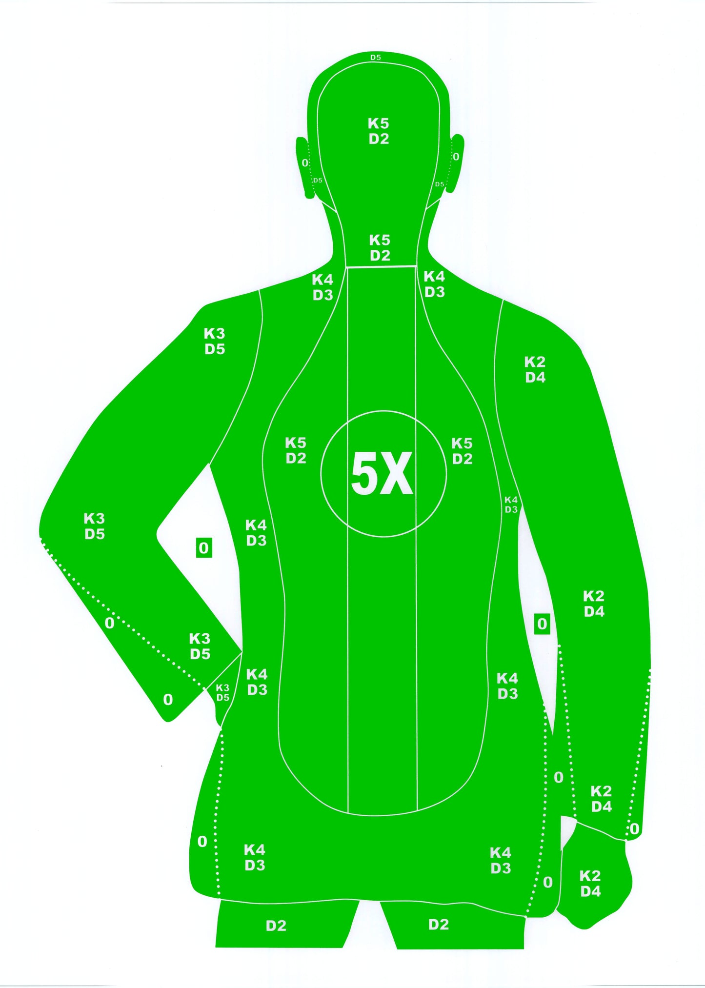 B-21 Style Silhouette [19x25]
