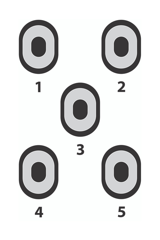5-Spot Bullseye [23x35]