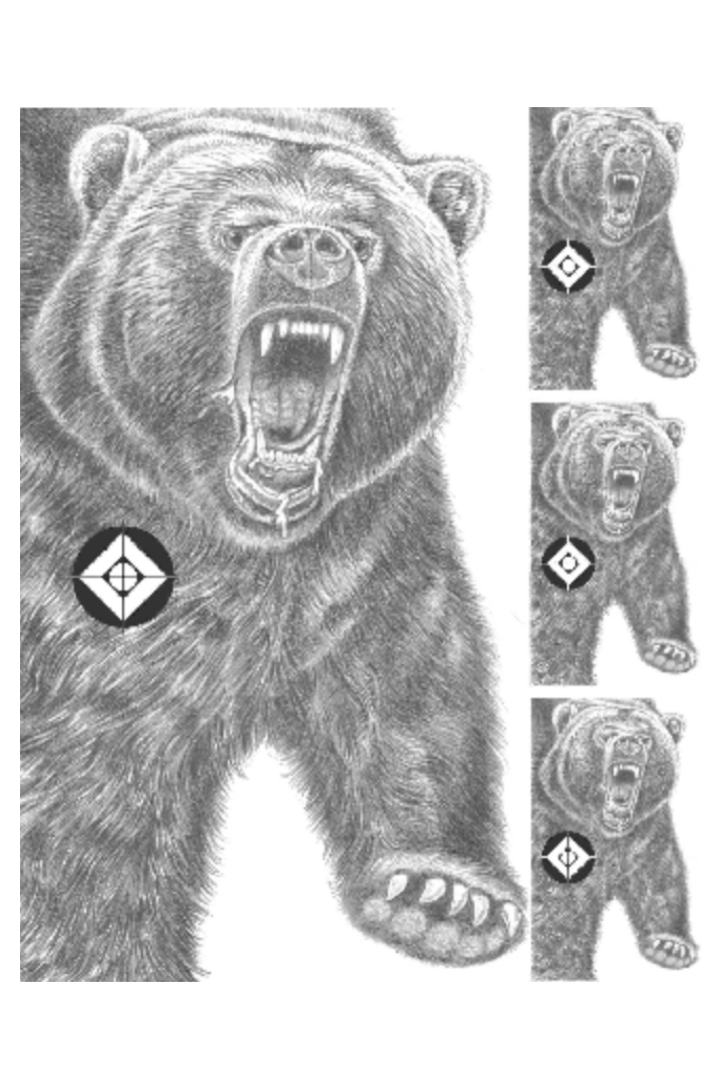 Big Game - Bear  [23x29]