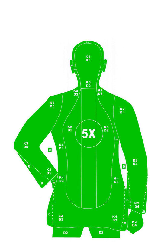 B-21 Style Silhouette [14x20"]