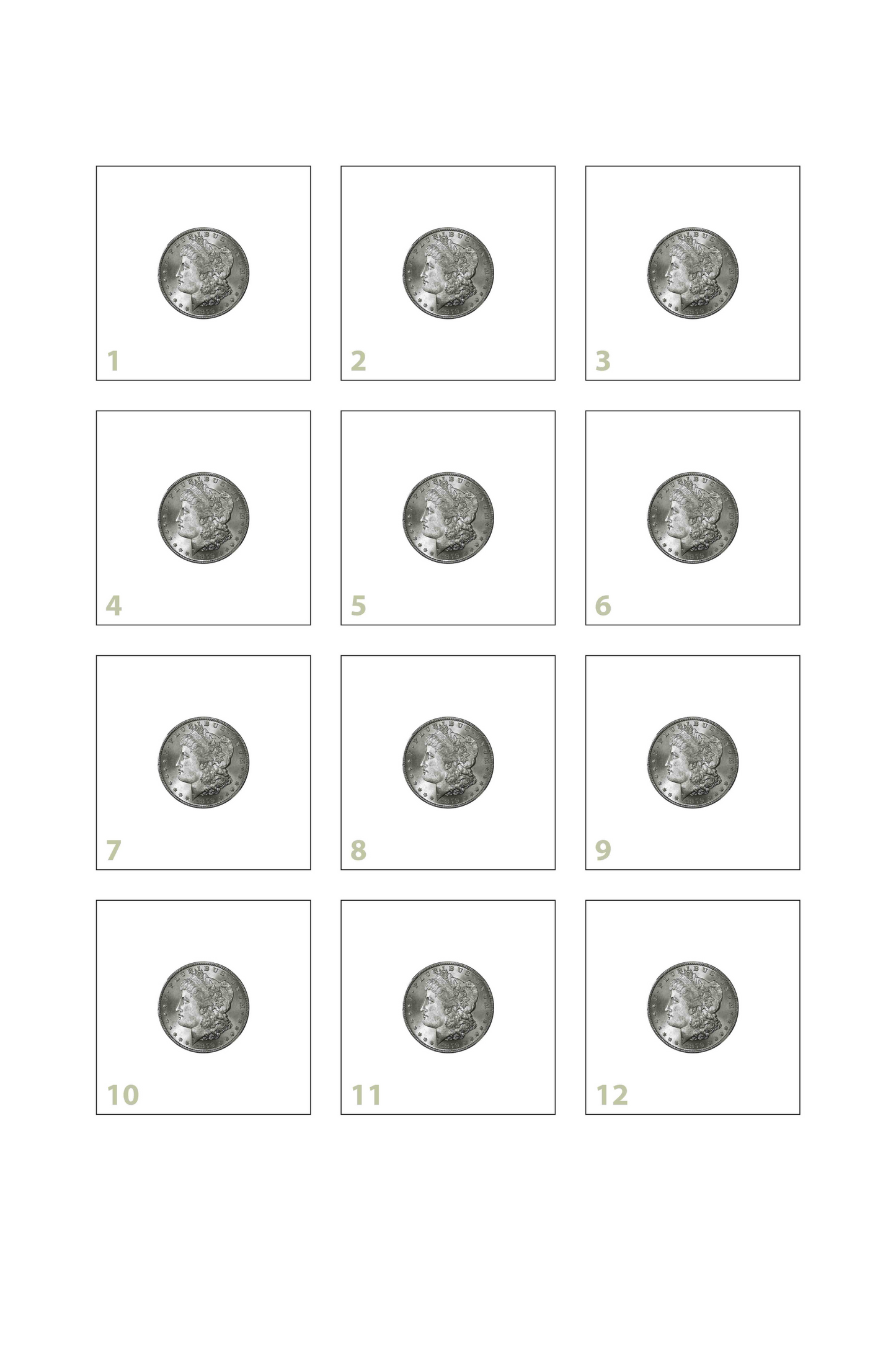 Silver Dollar Twelve Spot [14x20]