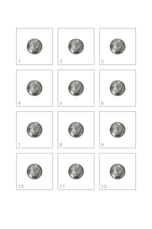 Silver Dollar Twelve Spot [14x20]