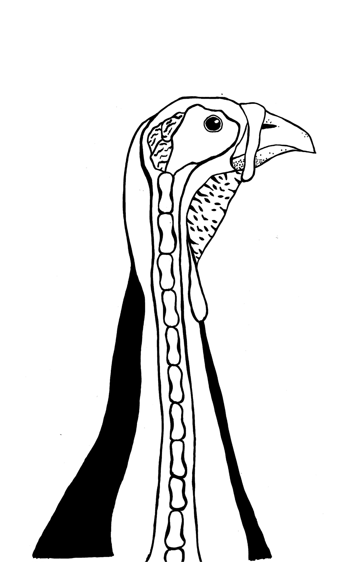 Turkey Head Pattern [10x14"]