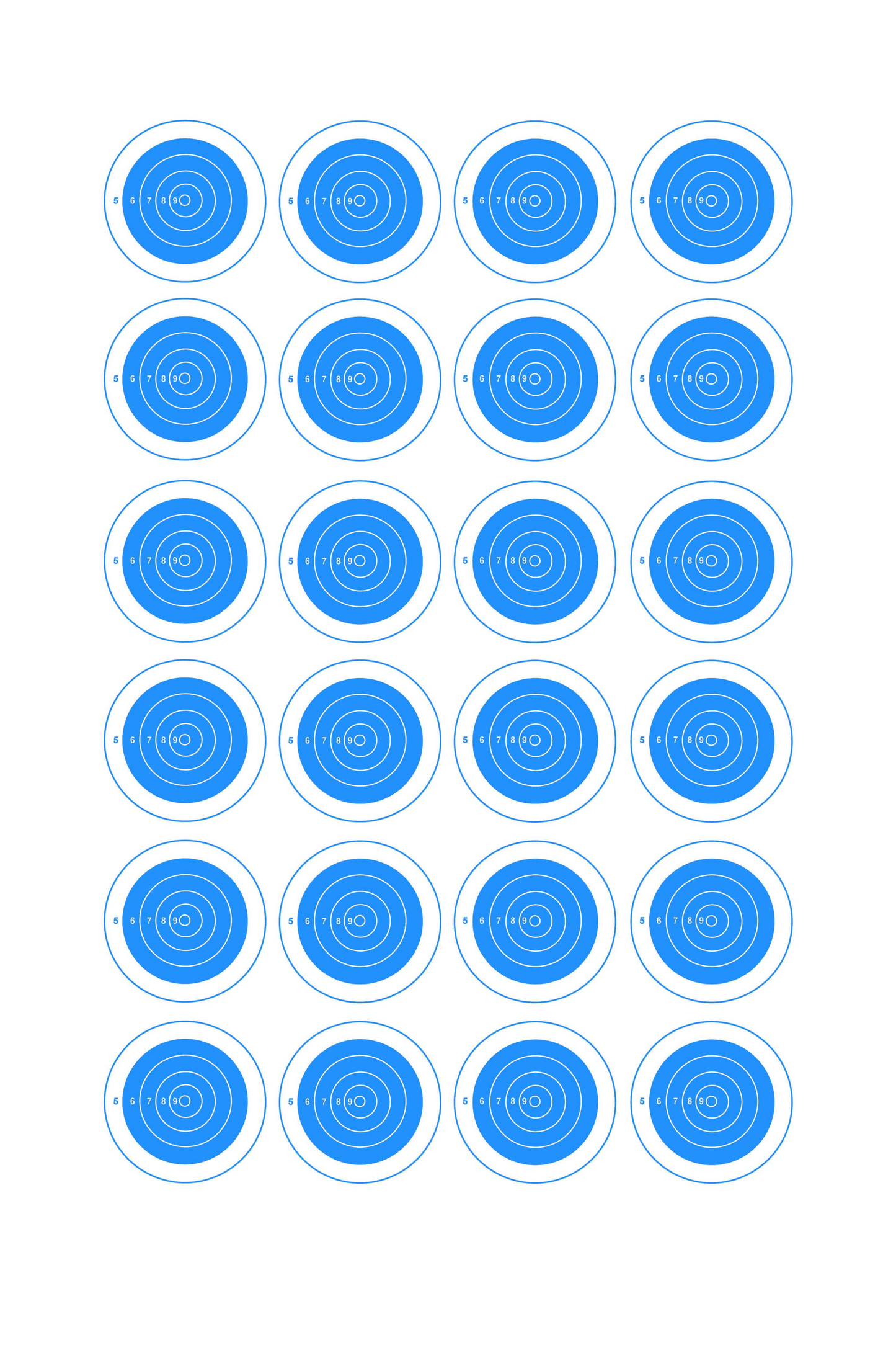 24-Spot Bullseye [8x14]